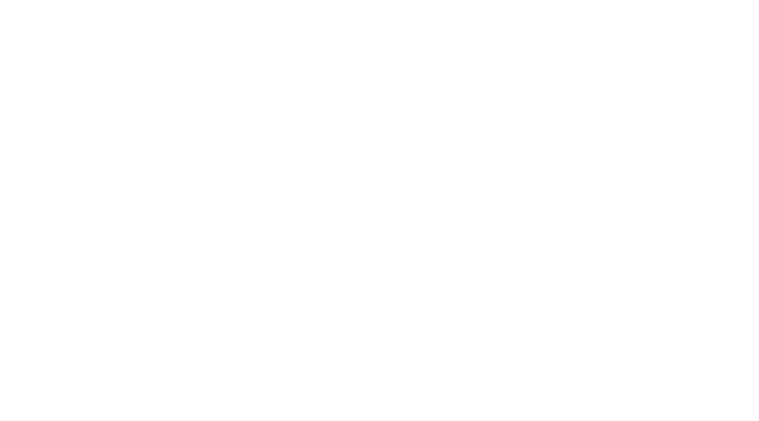 PMG Logo